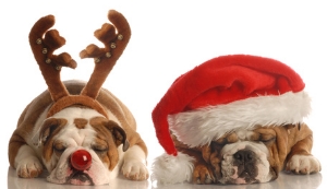 Fotolia_10222329_1_XS